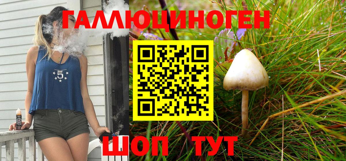 Ростов Великий  Псилоцибиновые грибы MAGIC MUSHROOMS  Вход с VPN 