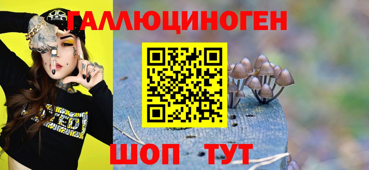 Псилоцибиновые грибы GOLDEN TEACHER Ростов Великий